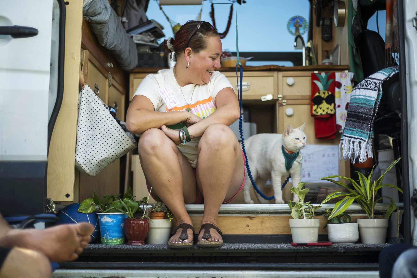 Teton Valley Vanlife Gathering